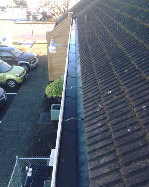 Gutter cleaning
