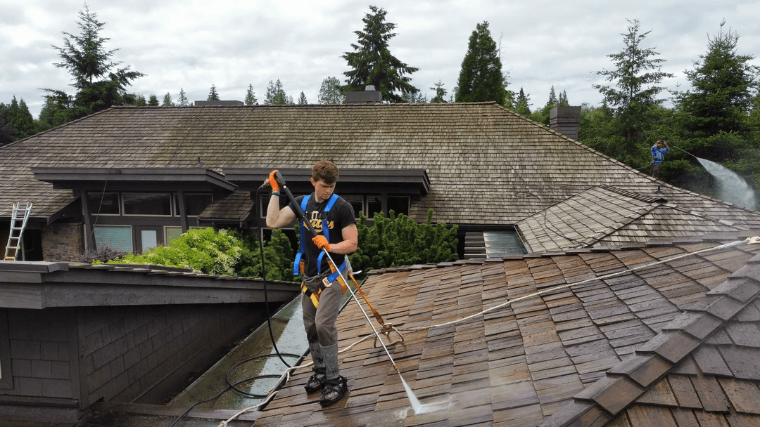 Roof cleaning