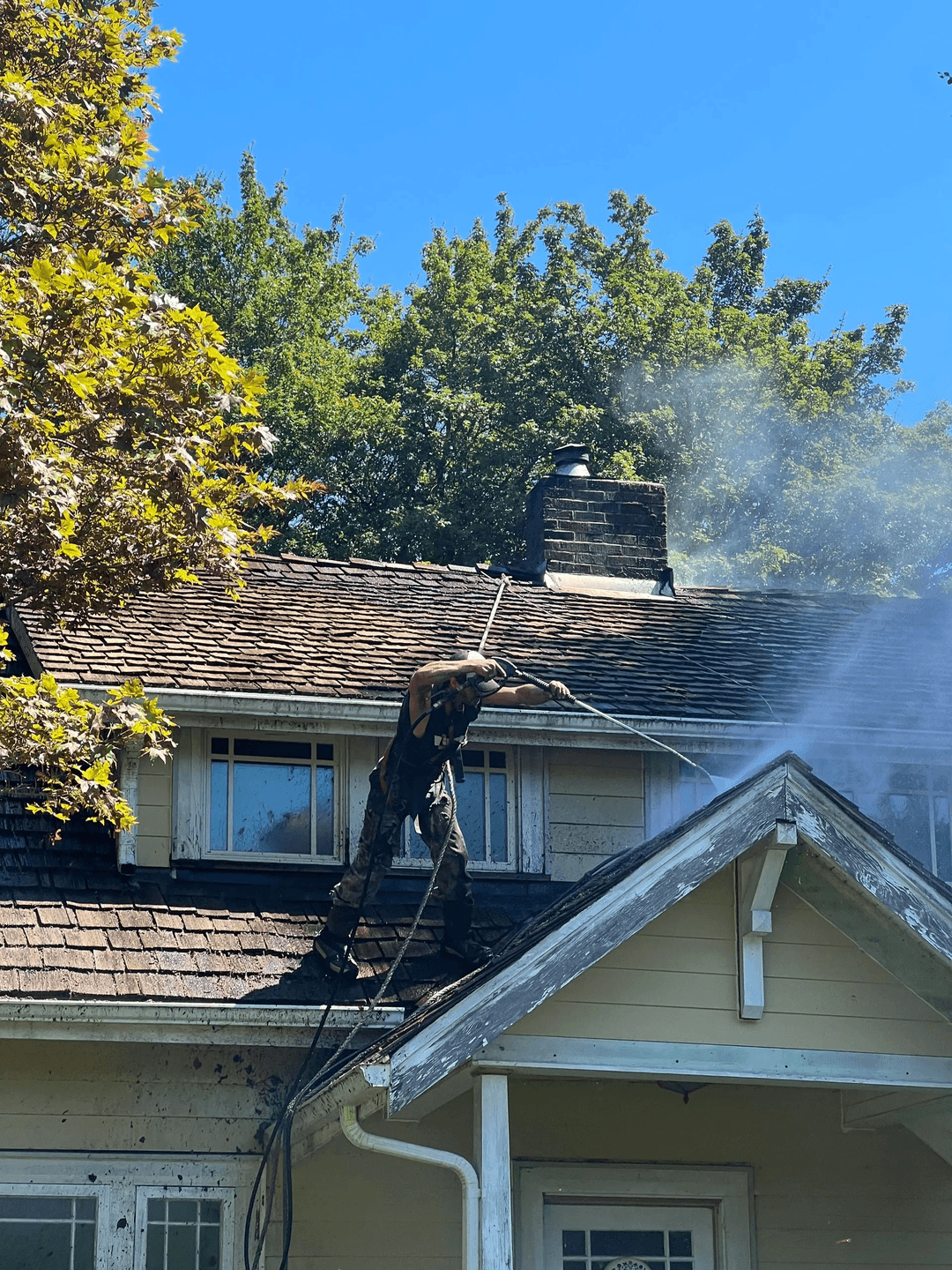 Roof cleaning