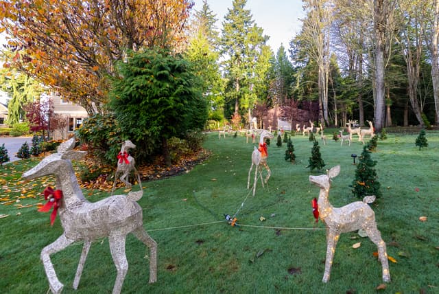 Christmas Light Display