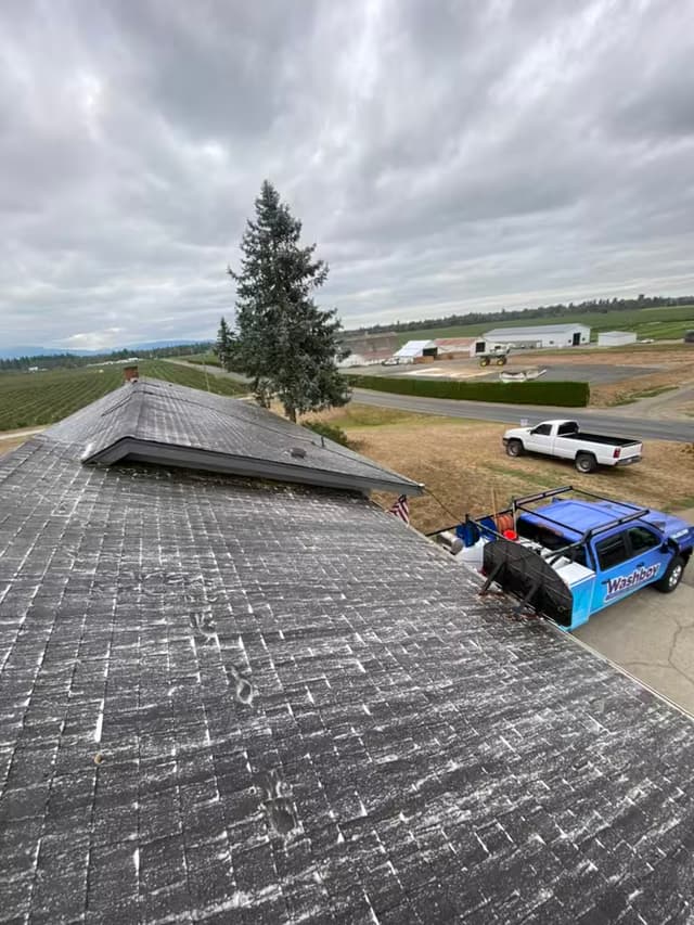 Roof Cleaning