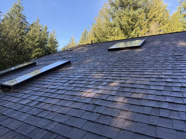 Roof Cleaning - during
