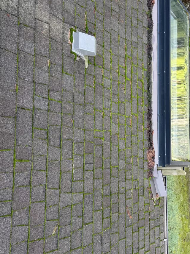 Roof Cleaning - before