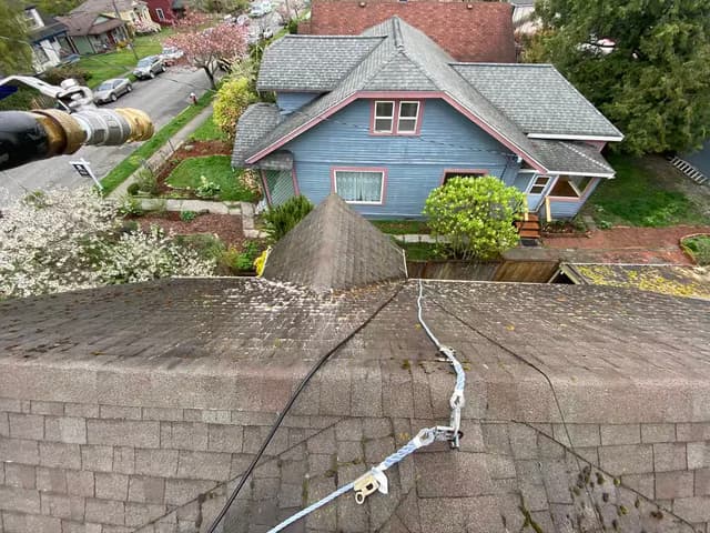 Roof Cleaning - before