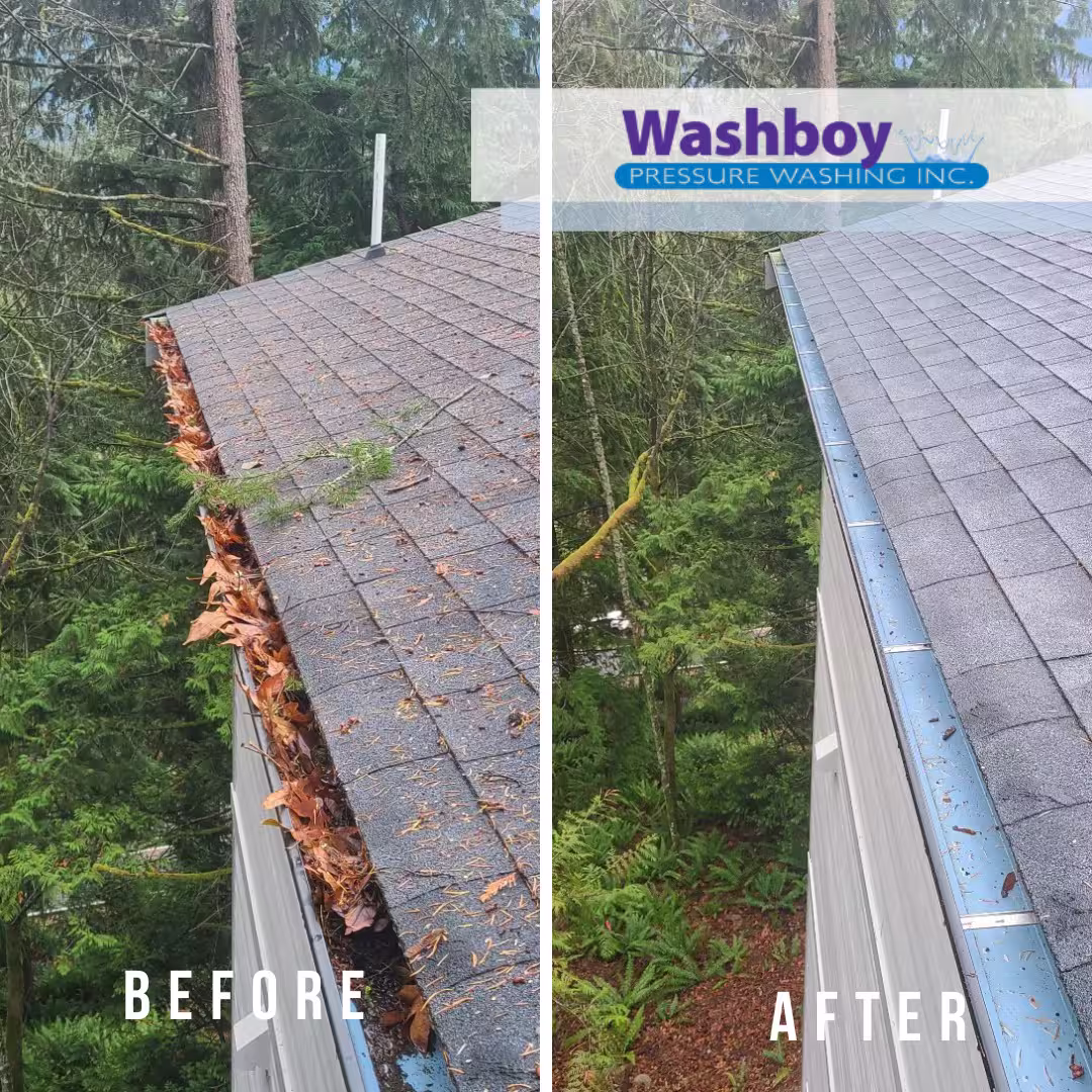 Before and after a gutter cleaning